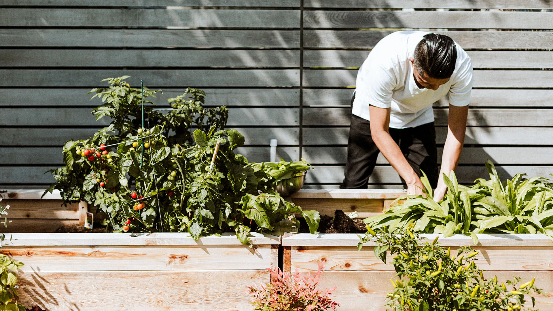 Crime Prevention through Environmental Design