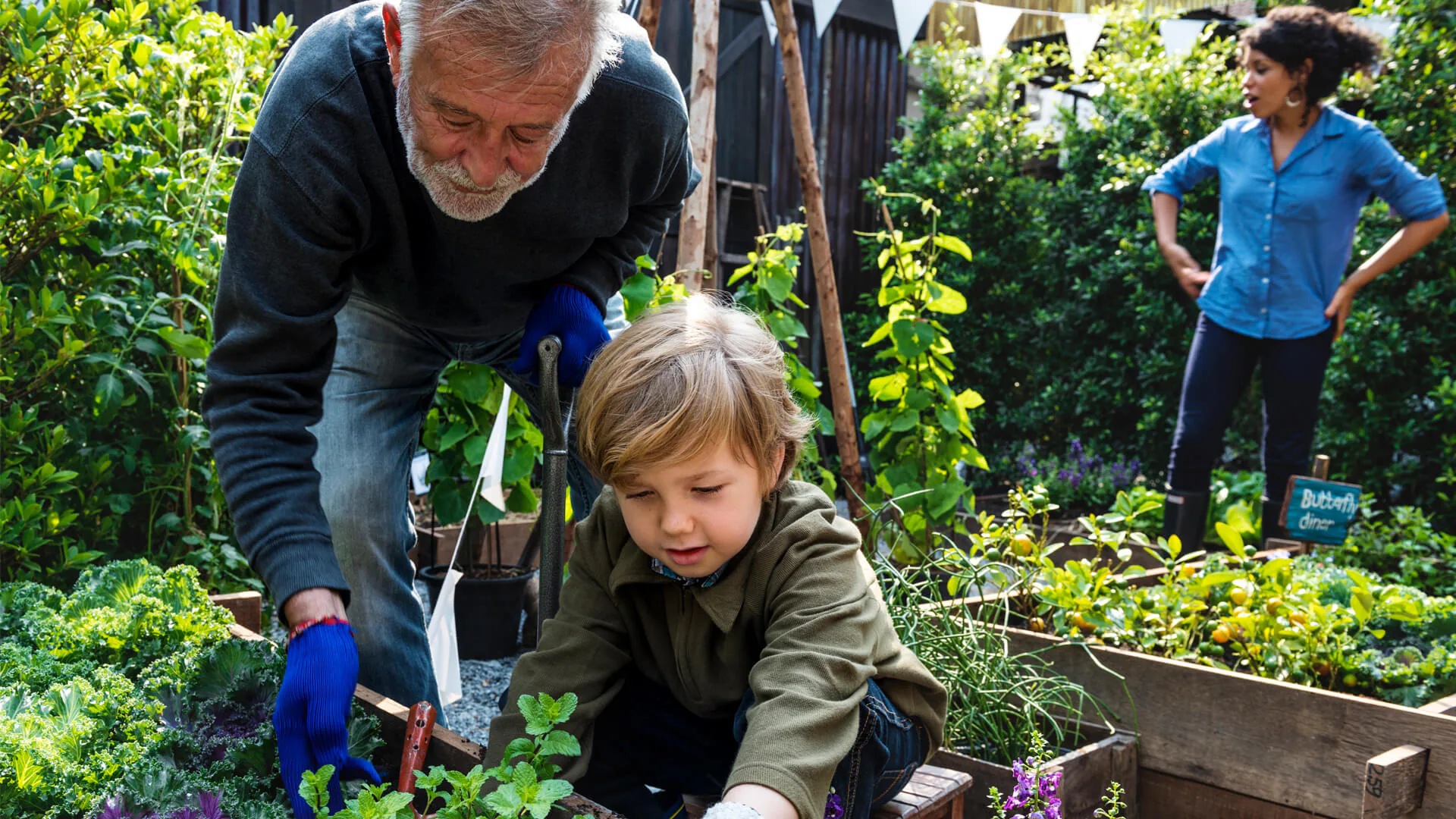 Sustainable Landscape Design