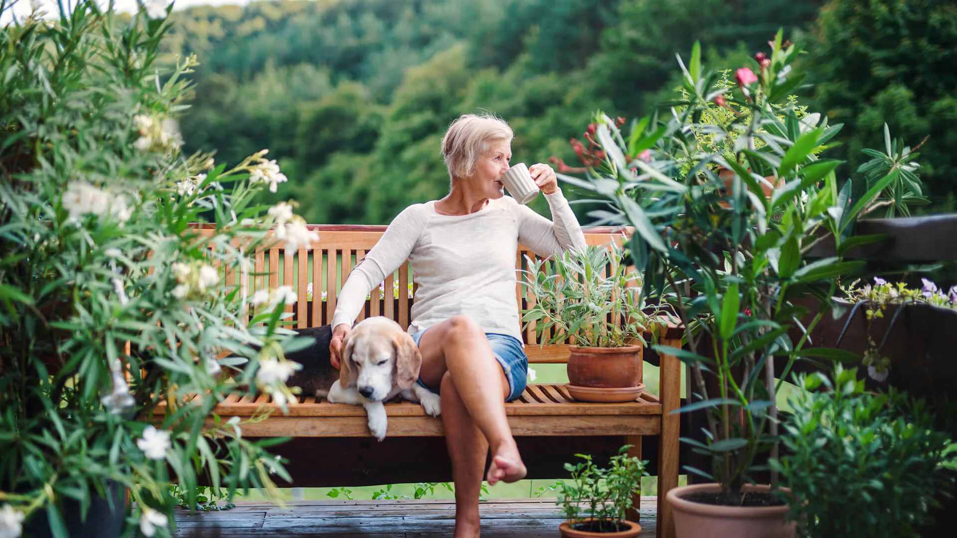 Therapeutic Gardens, Health and Wellbeing